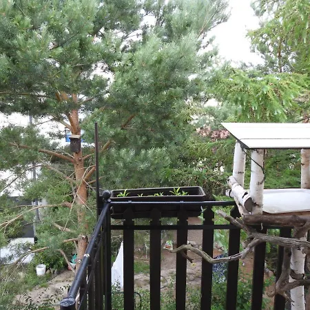 Safari House - Dom Podroznika