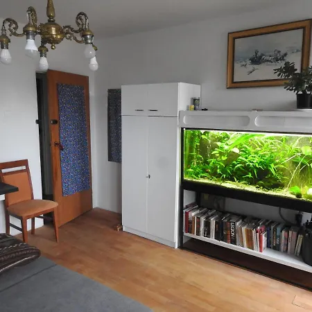 Safari House - Dom Podroznika *