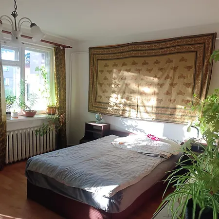 Safari House - Dom Podróżnika Gdynia