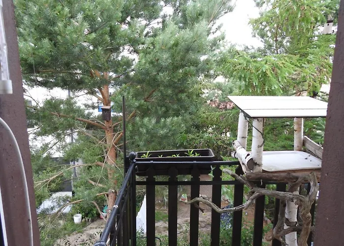 Safari House - Dom Podroznika