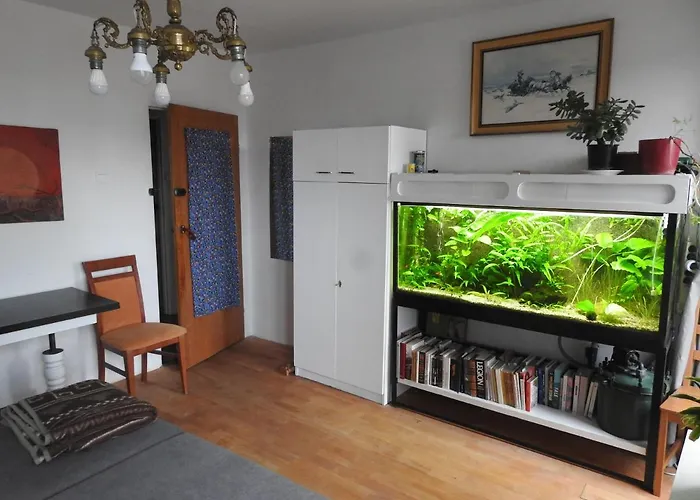 Safari House - Dom Podroznika *