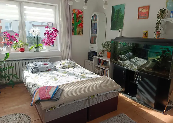 Homestay szállás Safari House - Dom Podroznika *